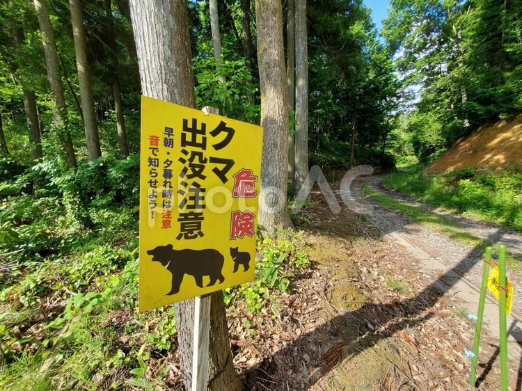クマ出没注意02 クマ出没注意,熊に注意,看板の写真素材