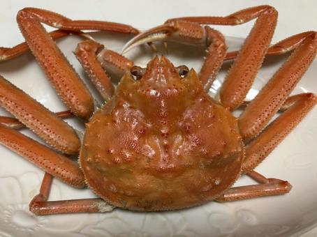 カニ カニ 蟹,海鮮,甲殻類の写真素材