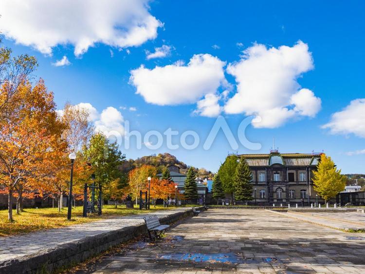 運河公園と旧日本郵船株式会社小樽支店 運河公園,旧日本郵船,公園の写真素材