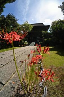東香山大乘寺 緑,日本,屋外の写真素材