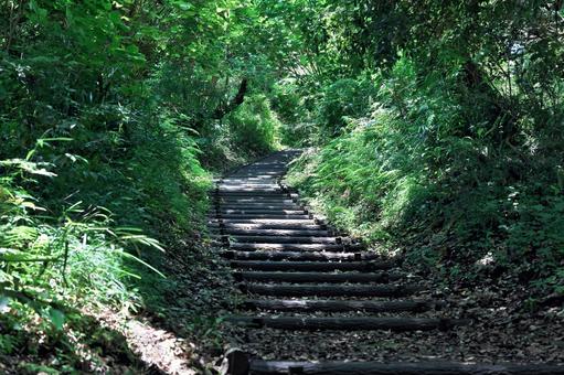 館山 式部夢山道 館山 式部夢山道の写真