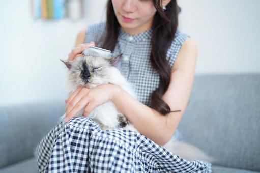 膝の上で猫を抱く女性 女性,猫,1匹の写真素材