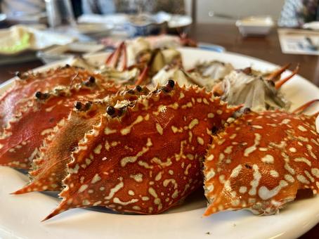 ワタリガニの写真