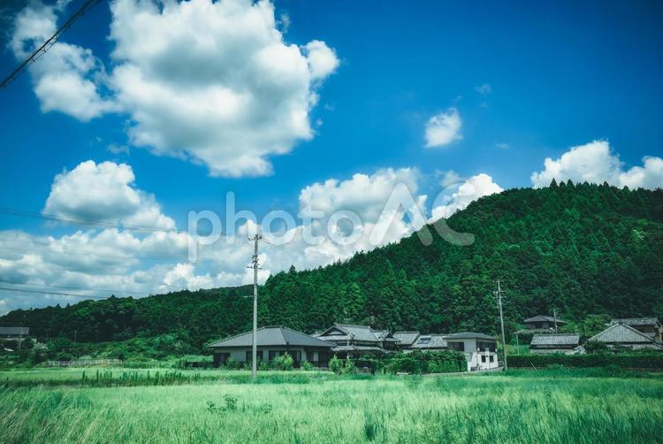 日本の夏の風景 日本,夏,田舎の写真素材