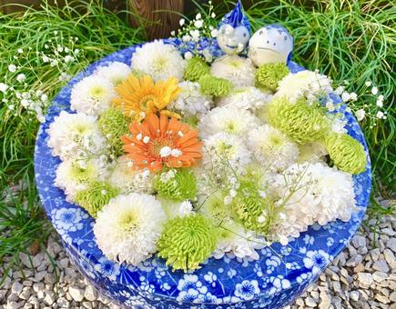 色鮮やかな花手水27 花手水,はなちょうず,手水舎の写真素材