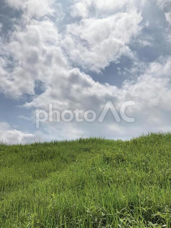 土手と見上げた空 土手,青空,草原の写真素材
