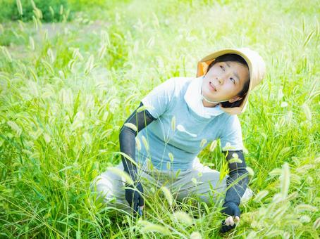 35:草むしりをする女性 35:草むしりをする女性の写真