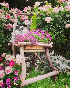 花 花の写真