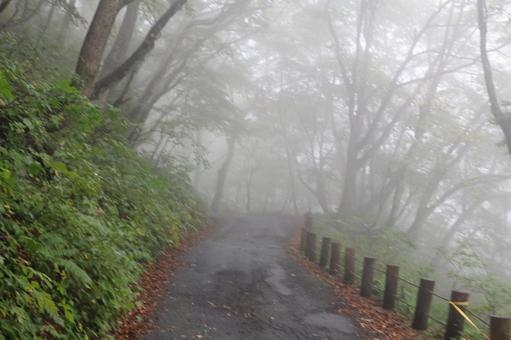 谷川岳山道 谷川岳山道 谷川岳,山道,散策の写真素材