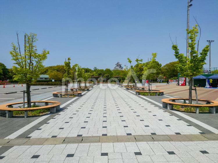 長浜市の豊公園から見える長浜城 長浜市,長浜城,城の写真素材