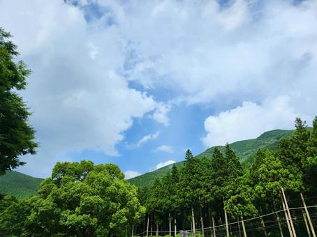 山と樹と雲 山と樹と雲 自然,景色,樹木の写真素材