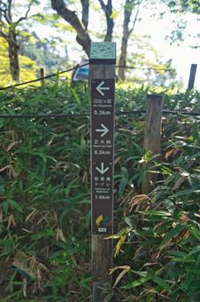 大台ヶ原の風景 大台ヶ原の風景 大蛇嵓,断崖絶壁,正木ヶ原の写真素材