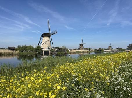 キンデルダイク＝エルスハウトの風車網 キンデルダイク,風車,オランダの写真素材
