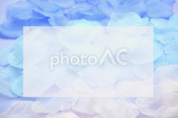 花びらのお手紙用素材（青） 花びら,レター,手紙の写真素材