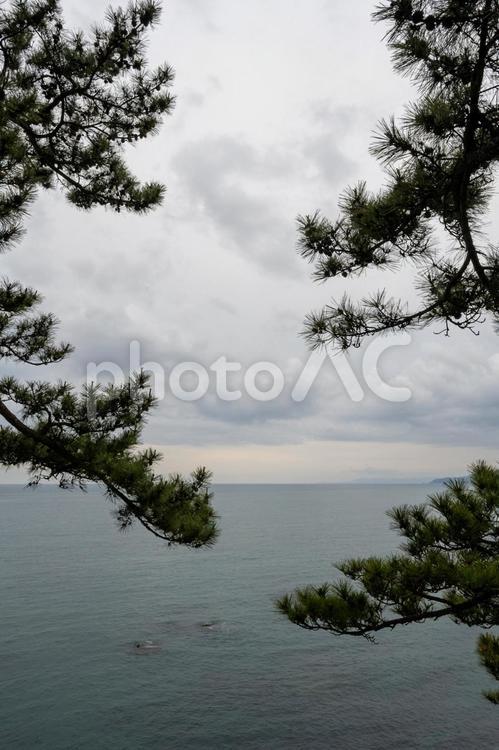 海の見える風景 海,松の木,空の写真素材