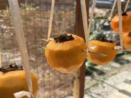 干し柿 干し柿,柿,果物の写真素材