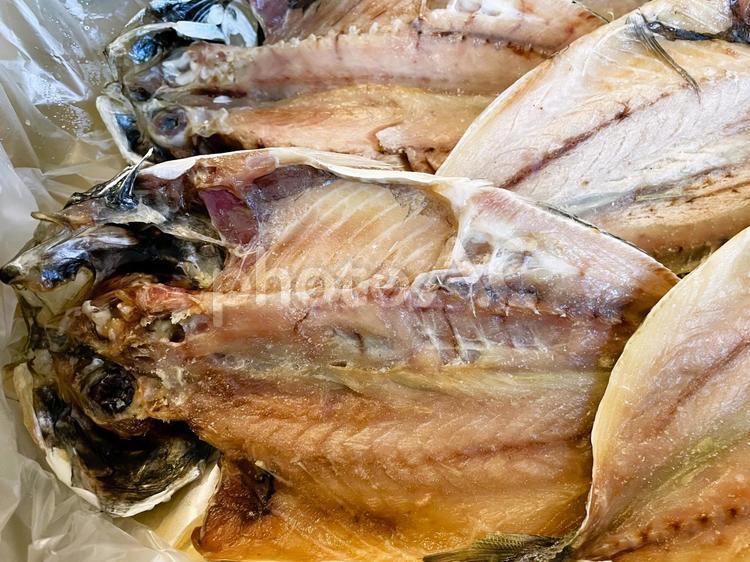 アジの開き（冷凍）１４ アジの開き,アジ,干物の写真素材