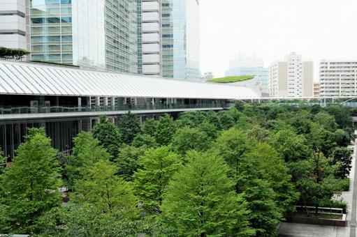 ビルの間の緑地地帯 ビルの間の緑地地帯の写真