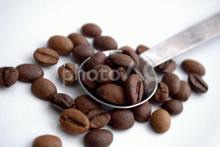 計量スプーンにのせたコーヒー豆 コーヒー豆,計量,計るの写真素材