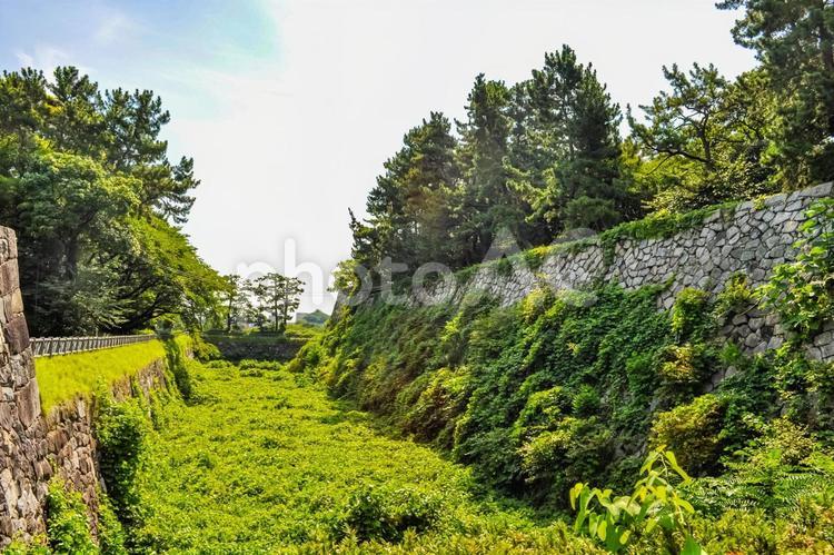真夏の名古屋城内堀 名古屋城,金鯱城,堀の写真素材