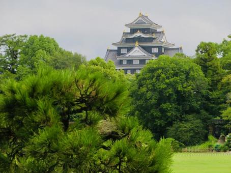 岡山後楽園と岡山城 岡山後楽園と岡山城の写真