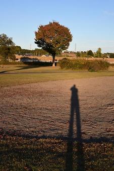 影　秋 鬼怒川,公園,秋の写真素材