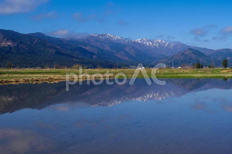 春の水田と荒島岳 青空,農村,水田の写真素材
