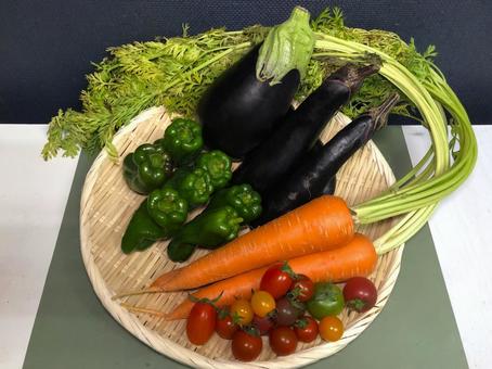 ざるに盛られた様々な夏野菜 ざるに盛られた様々な夏野菜の写真