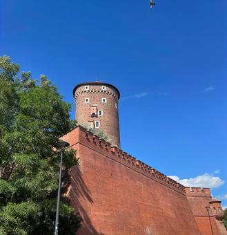 ヴァヴェル城 ヴァヴェル城,城,美しいの写真素材