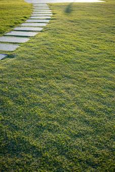 日差しの芝生と石畳の小道 芝生,草,緑の写真素材
