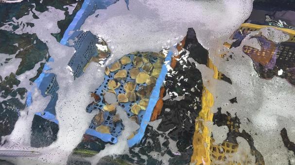 生け簀 生け簀の写真