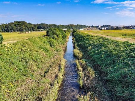 三重県鈴鹿市庄野町　田園と用水路の小川 田園風景,田圃,田畑の写真素材