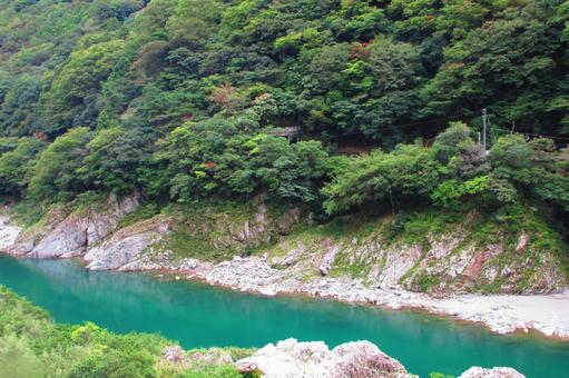徳島県-大歩危 徳島県-大歩危 大歩危,吉野川,天然記念物の写真素材
