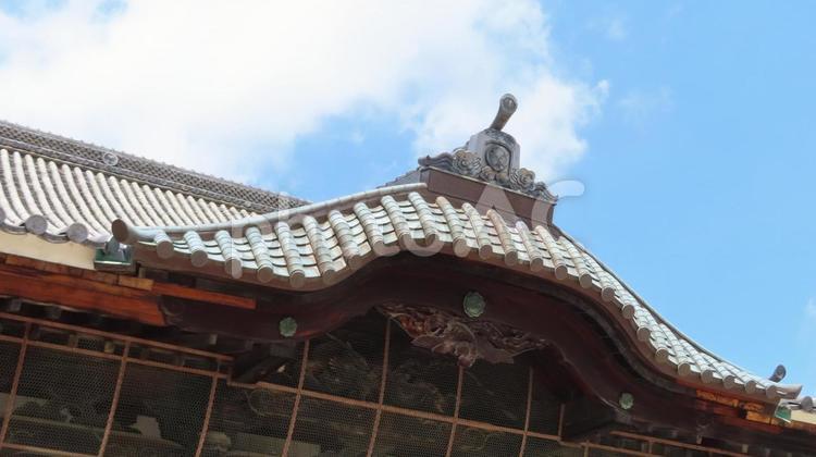 建中寺　本堂の屋根 建中寺,尾張徳川家,菩提寺の写真素材