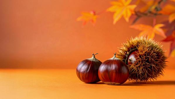 紅葉背景の栗 紅葉背景の栗の写真