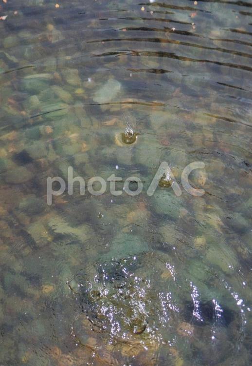 雨だれと波紋 波紋,水,波の写真素材
