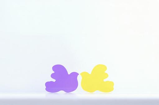 2色の鳩のアクリルプレート_3/78 2色の鳩のアクリルプレート_3/78 鳥,カラフル,ピースの写真素材