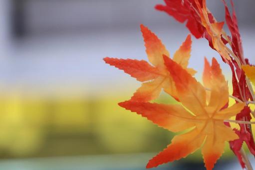 造化のもみじ 造化,もみじ,秋の写真素材