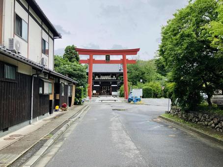 梅宮大社 鳥居 梅宮大社 鳥居の写真