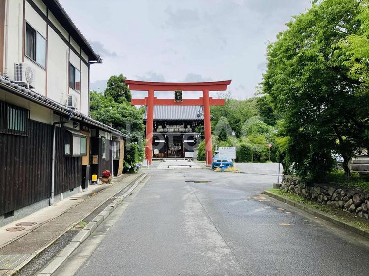 梅宮大社　鳥居 梅宮大社,京都府京都市,左京区の写真素材