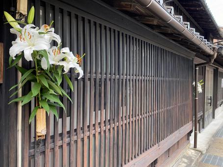 竹の花入れ 竹の花入れ 花入れ,格子窓,町屋の写真素材