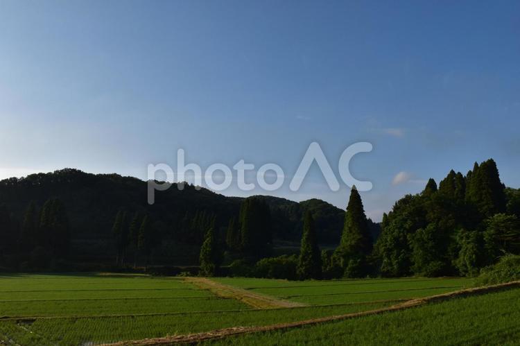 里山の風景 田んぼ,里山,青空の写真素材