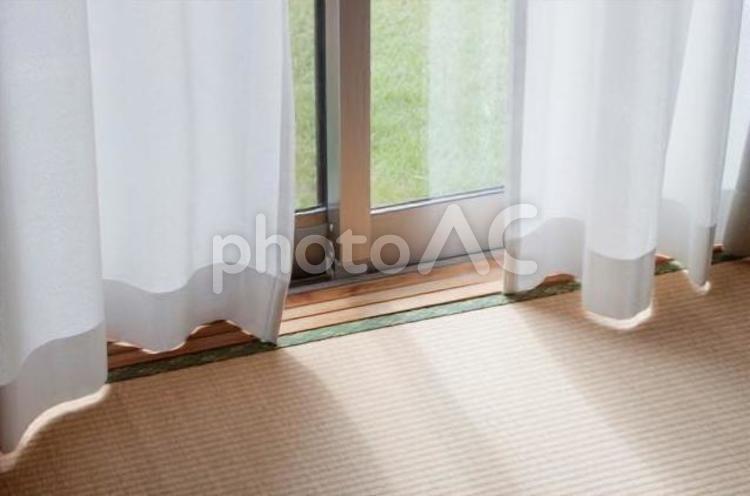 窓際の木漏れ日 窓際,木漏れ日,光の写真素材