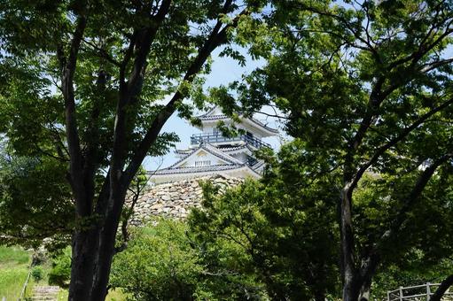 緑に囲まれた歴史ある城 緑に囲まれた歴史ある城 城,歴史,木々の写真素材