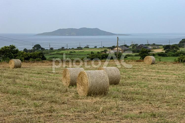 ※＜五島の風景＞農村の牧草ロール 畑,農地,農業の写真素材
