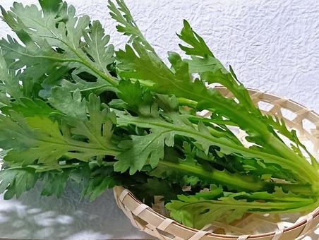 春菊 春菊,野菜,葉菜類の写真素材
