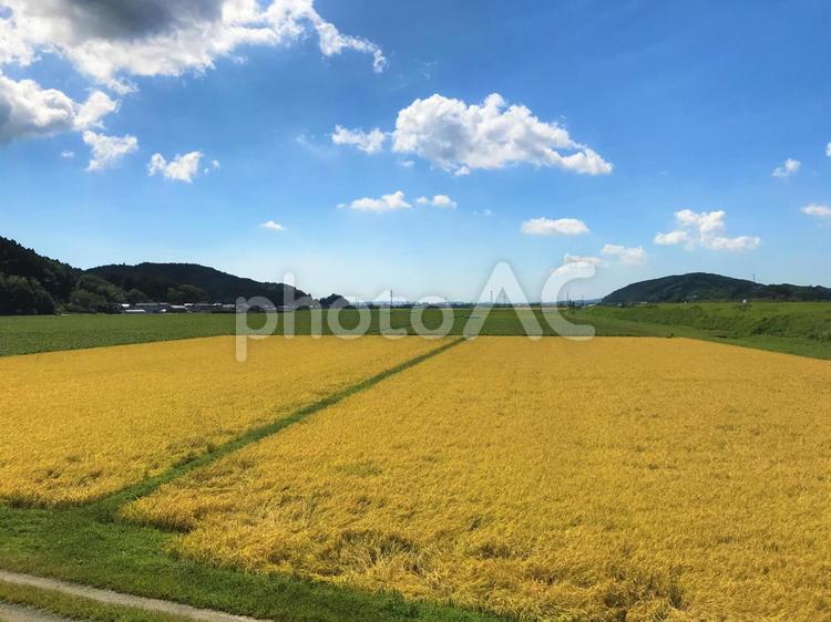 田園風景５５ 田園風景,田んぼ,田の写真素材