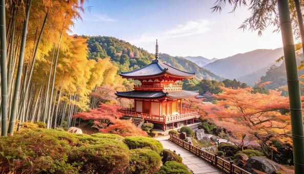京都 竹 京都 竹の写真