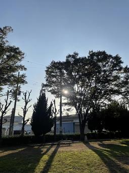 早朝の空 早朝,朝焼け,曇りの写真素材