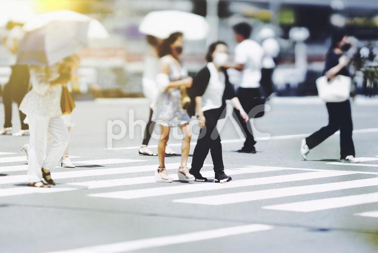 横断歩道を渡る人々 ビジネスイメージ 横断歩道,人,人々の写真素材